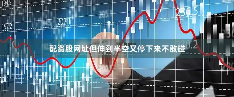 配资股网址但伸到半空又停下来不敢碰