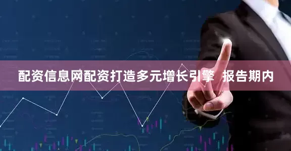 配资信息网配资打造多元增长引擎  报告期内